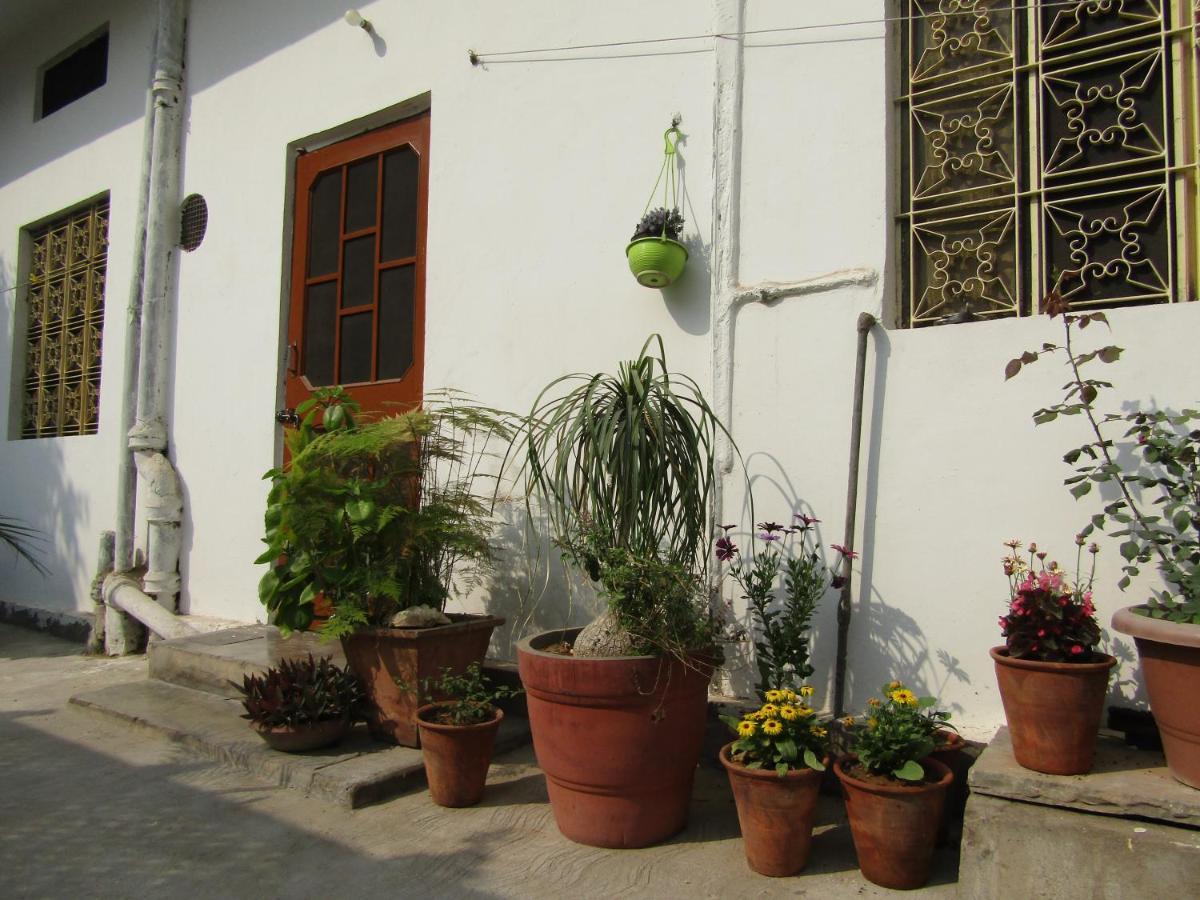 Nadya Homestay For Female & Family Dźajpur Zewnętrze zdjęcie